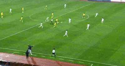 1746190228018025082.gif IMG_2256.gif